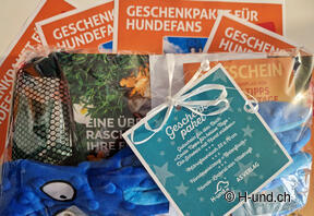 Hundebuch: Coole Tipps für heisse Tage - Die Schweiz mit Hund erleben