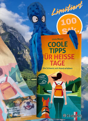 Coole Tipps für heisse Tage: Die Schweiz mit Hund erleben