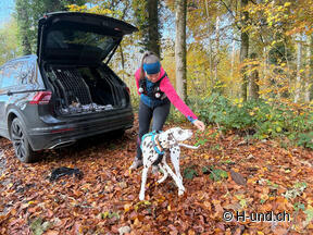 Beispiel Übung Kreisen
