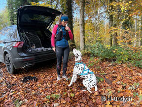 Beispiel Übung Stellungen wechseln
