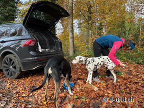 Fitt für den Winter:Vorbereitung mit Hund