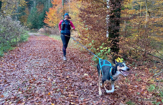 Fitt für den Winter:Vorbereitung mit Hund