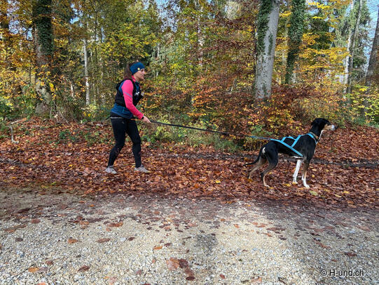 Fitt für den Winter:Vorbereitung mit Hund