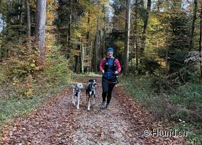 Fitt für den Winter:Vorbereitung mit Hund