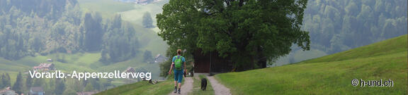 Österreich mit Hund