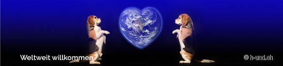 International Special