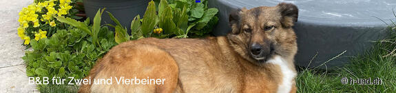 BnB für Zwei und Vierbeiner