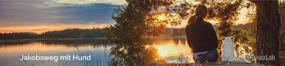 International Special