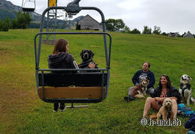 Sessellift-Kurs mit Hund