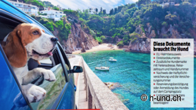 Campingferien mit Hund