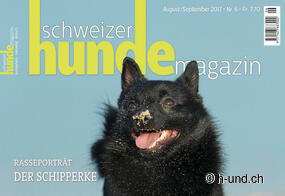 Die Schweiz mit Hund erleben