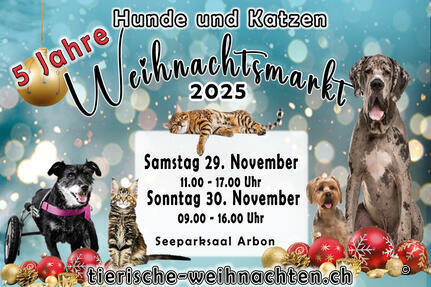 Hunde- und Katzenweihnachtsmarkt in Arbon, 5-Jahr Jubiläum
