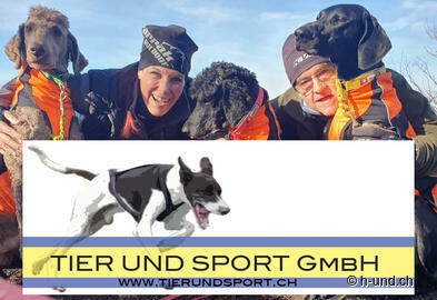 Gutschein Tier und Sport (6x CHF 50.-, 1x CHF 100.-)
