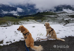 Bergstation Maennlichen