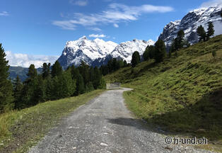 Lauberhorn Trail