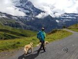 Kaya e Neo nell' Oberland bernese