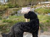 In giro per lo zoo con Filou