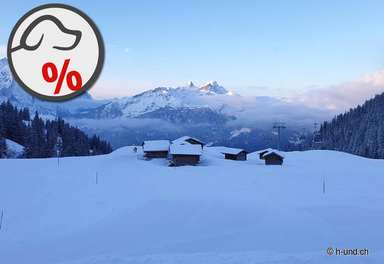 Bergbahnen Meiringen-Hasliberg