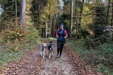 En forme pour l'hiver : Se préparer avec son chien