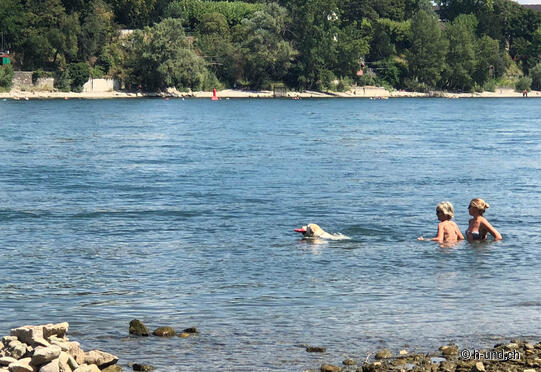 Badeplatz St. Alban - Rheinweg