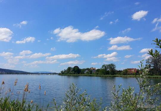 Greifensee