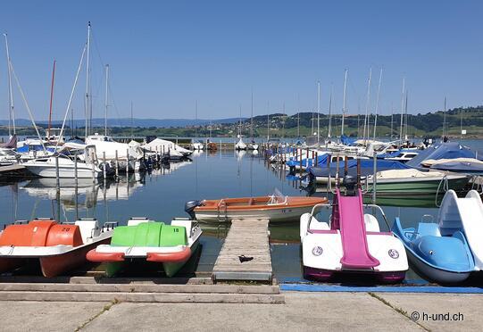 Pedalo rental Murtensee