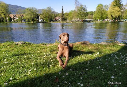 Rastplatz Wangen an der Aare