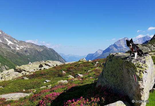 Chrüzlipass-Attinghausen