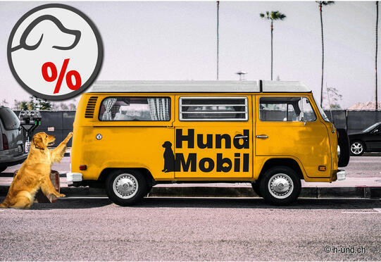 Negozio HundMobil