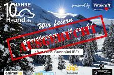H-und.ch Jubliäumstag: Winterabenteuer mit Hund auf Sunnbüel (BE)