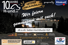H-und.ch Jubliäumstag: Adventszeit Sternenlicht & Pfotenspuren