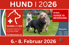 HUND I 2026