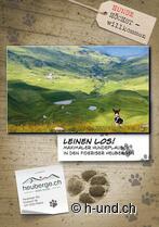 Heuberge-Sommer-Special