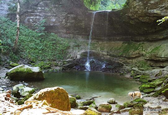 Aabachtobel Horgen Zurich
