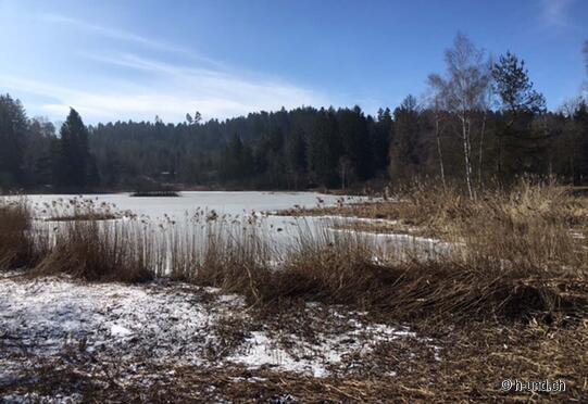 Effretikon nach Pfäffikon ZH
