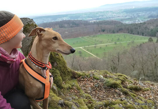 Flüh - Aesch (Ruinentour)