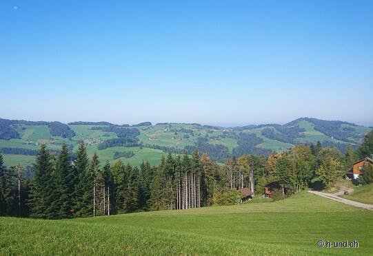 Gibswil – Scheidegg – Boalp – Schwarzenberg – Farner – Gibswil