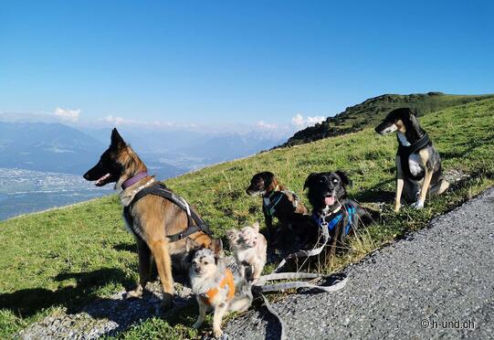 High box - Kamor - cone - Resspass - Chluserenweidli - Brülisau