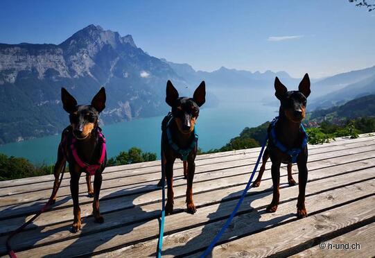 Kerenzerberg Römerweg