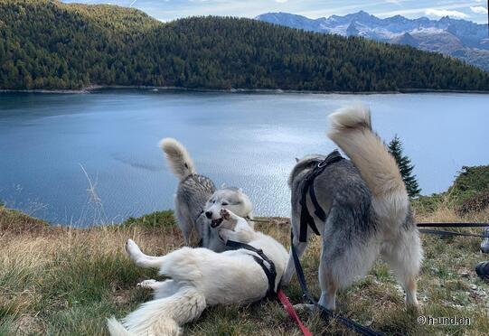 Lago Ritóm - Lago di Tom - Lago Cadagno