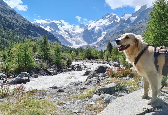 Morteratsch glacier trail