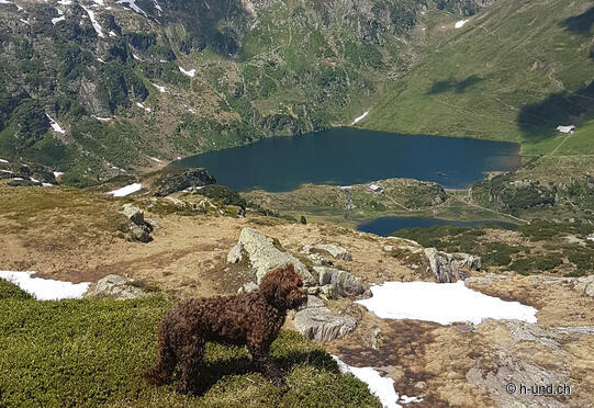 Murgseen from Maschgenkamm