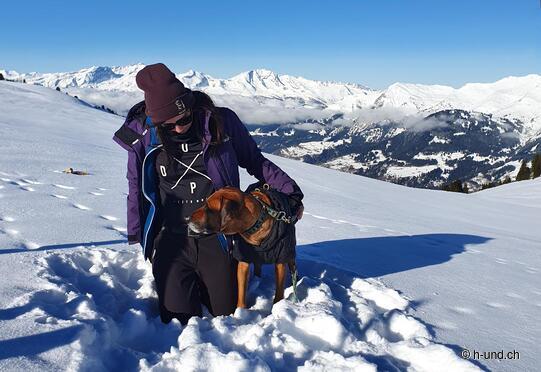 Prätschli-Prätsch Alp - Rot Tritt Scheidegg