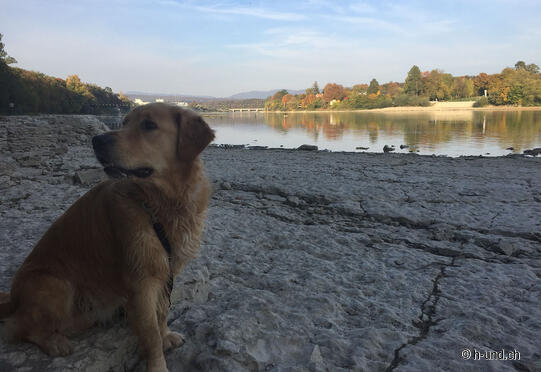 Rheinufer Rundweg, Rheinfelden