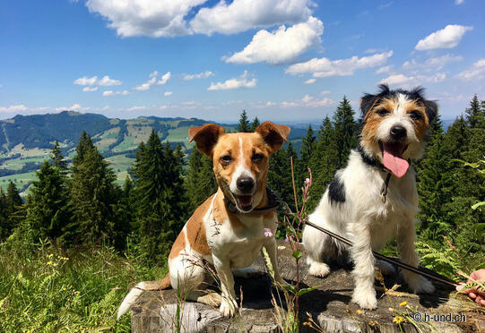 Ricken - Regelstein circular hike