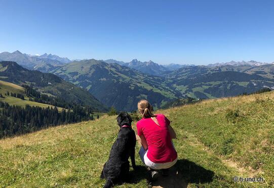 Seebergsee - Hinter Chumi - Bulls - Seebergsee