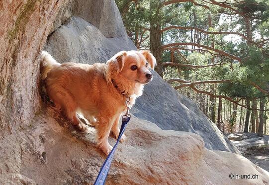 Sugiez over the Mont Vully
