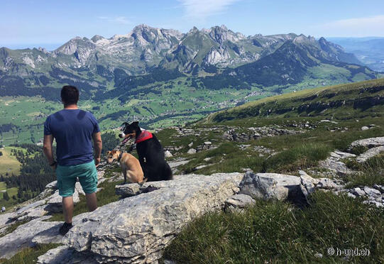 Zum Chäserrugg und Hinterrugg mit Yolanda und Teddy, Cedi und Bubi