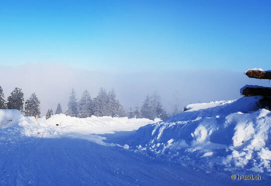 Bildhus-Rittmarren-Alp Egg with sledging fun
