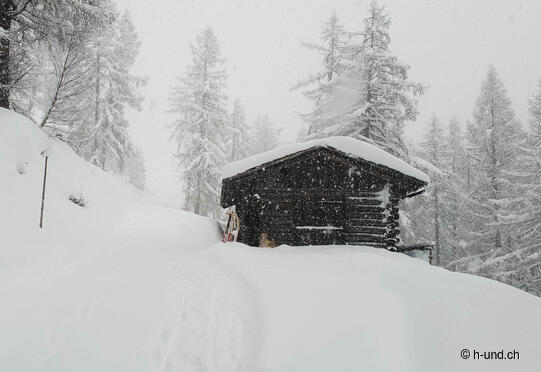 Brün-Imschlacht mit Schlittelspass
